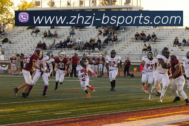 App Interface Preview