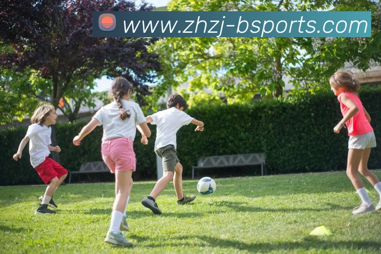 B体育BsportsAPP 封面图